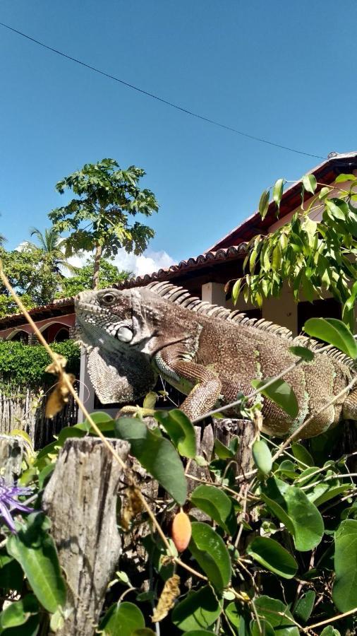 Pousada Eolos Barra Grande  Zewnętrze zdjęcie